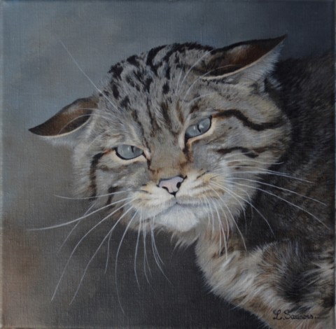 Peinture d'un portrait de chat sauvage par Laurence Saunois, peintre animalier