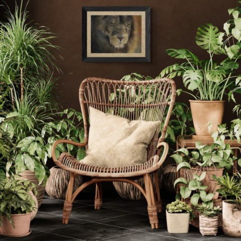 Tableau d'un portrait de lion en situation au dessus d'un fauteuil en rotin avec des plantes