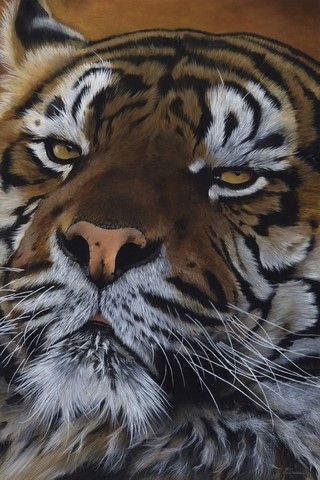 Peinture de tigre par Laurence Saunois, artiste peintre animalier