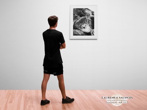 Dimensions Oeuvre Peintre animalier Laurence Saunois
