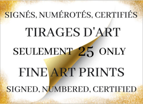 Tirages d'art sur les oeuvres de Laurence Saunois, Artiste