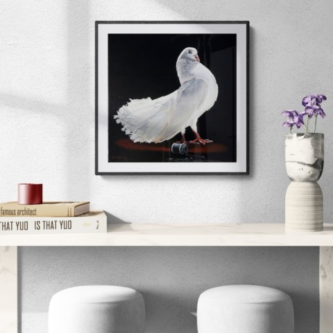 Painting of a white pigeon displayed above a console table by wildlife artist Laurence Saunois.