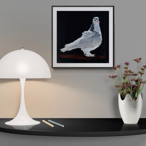 “Painting of a white and grey pigeon displayed above a console table by wildlife artist Laurence Saunois.