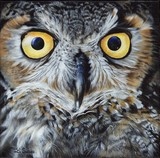 Peinture de hibou par Laurence Saunois, peintre animalier