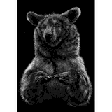 Scratchboard d'Ours des Pyrénées par Laurence Saunois, artiste peintre animalier