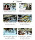 Visuels pour le dossier de presse Nympheus Luminansis de L'artiste Laurence Saunois