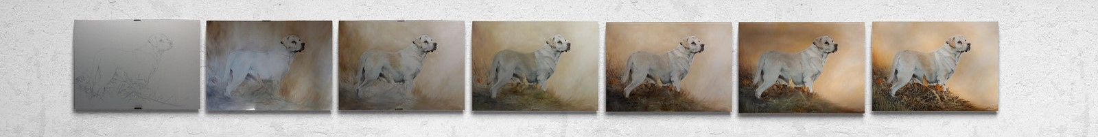 Etapes de réalisation d'une peinture de chiens par la peintre animalier laurence Saunois